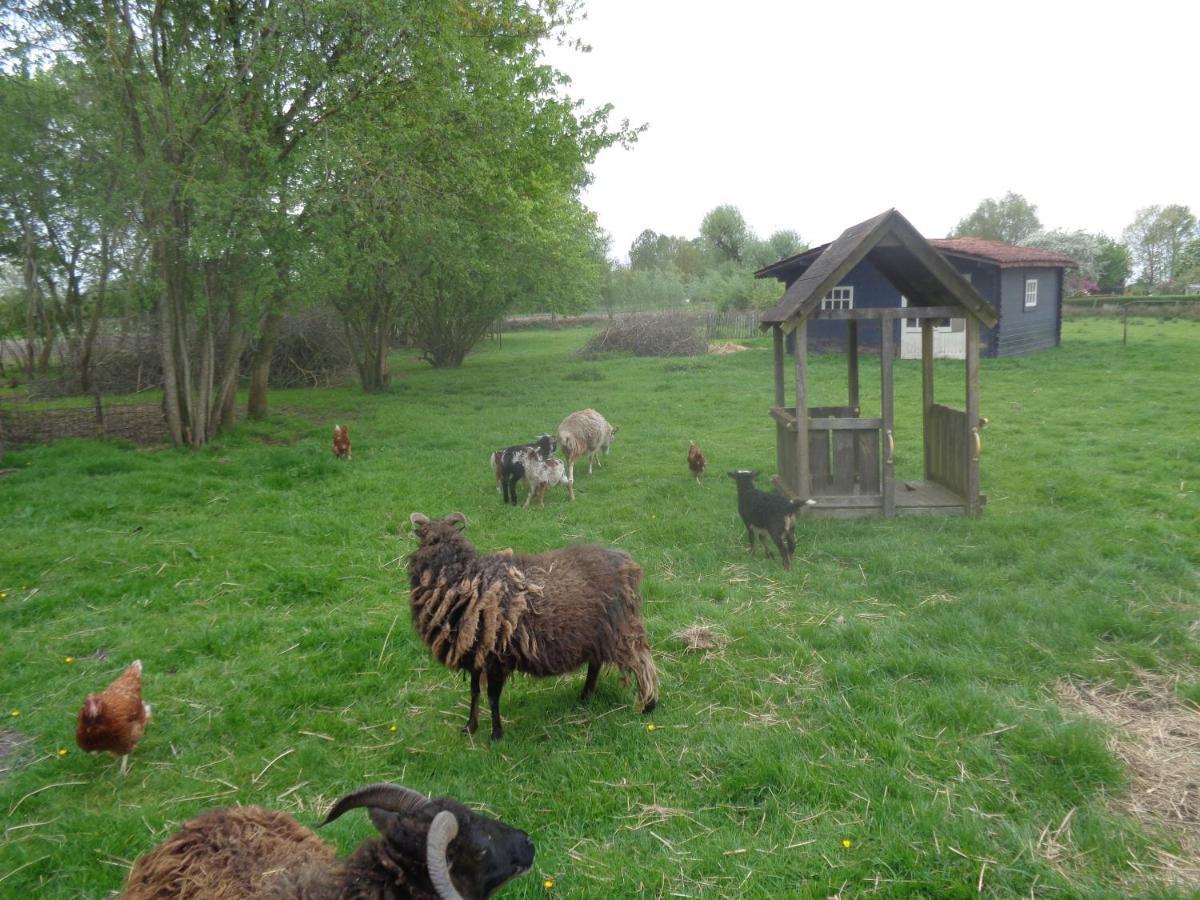 B&B De Boeren Zwaluw Slochteren Ngoại thất bức ảnh